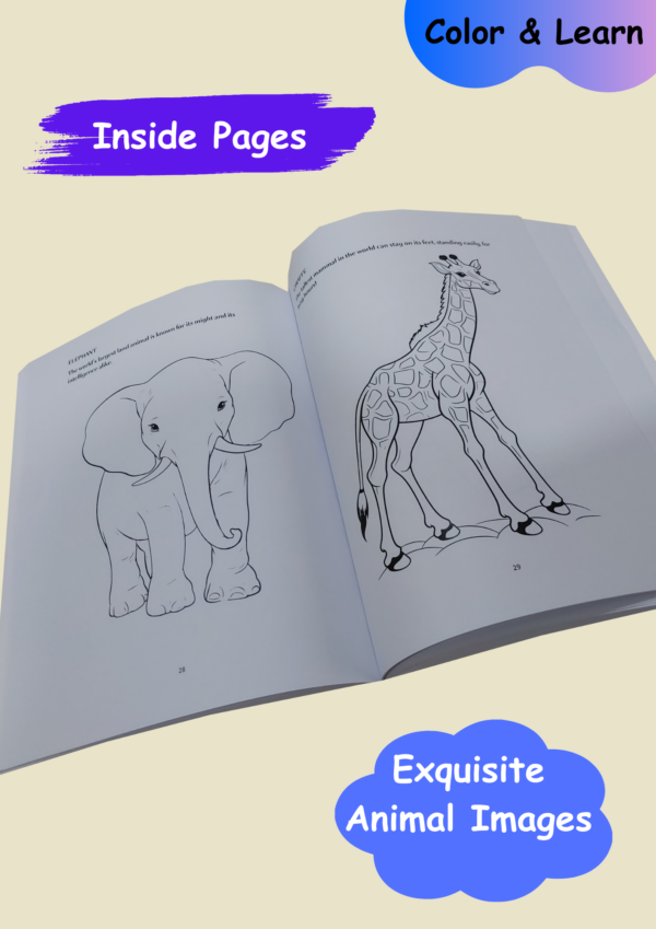 Inside pages coloring book age 6+